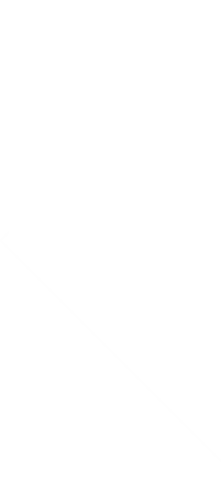shape 4