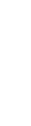 shape 6