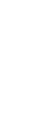 shape 7